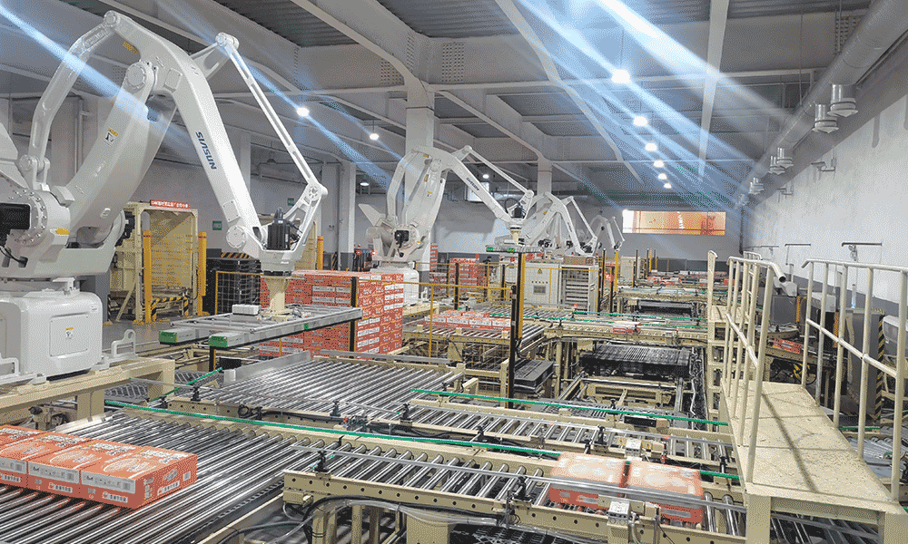 Automatisches Palettiersystem für fertige Kartons