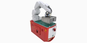 Customized Hybrid Robot